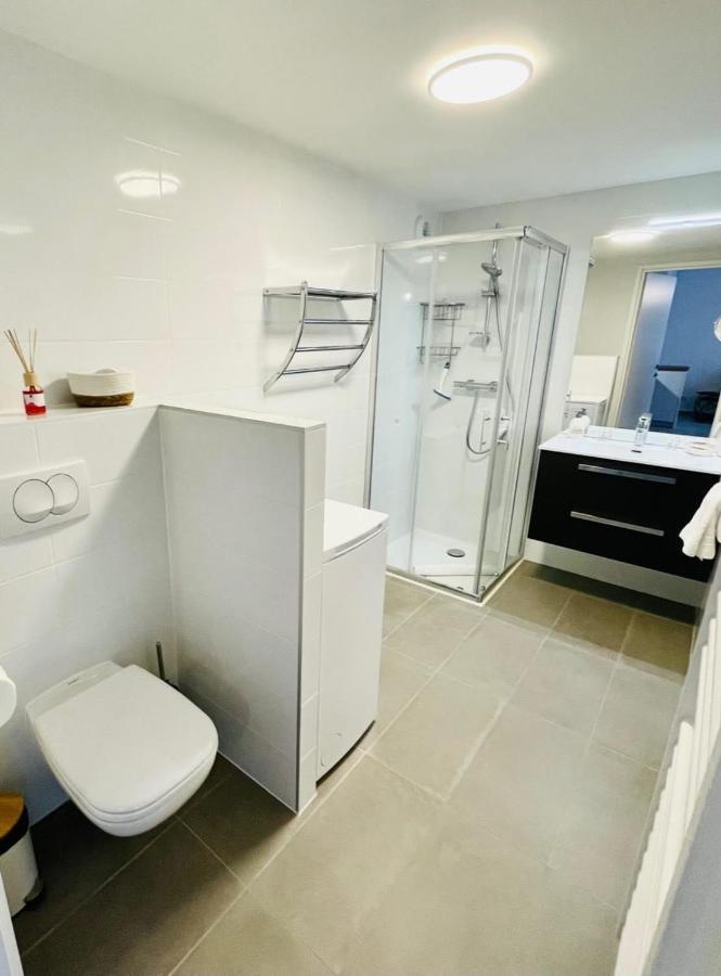 Le Quartz Tresum In A Modern Residence Near The Lake Garage Included Аннесі Екстер'єр фото